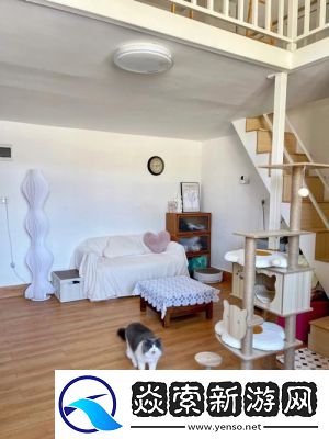 貓咪公寓房客裝飾攻略