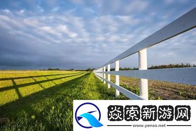 非洲人與動交CCOO