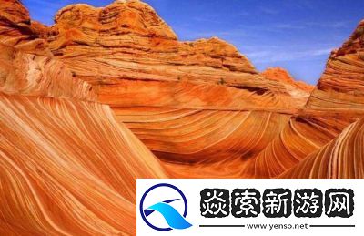 非洲人與動交CCOO