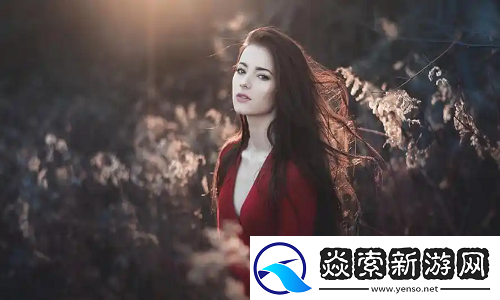 2024年日本三色電費(fèi)免費(fèi)政策