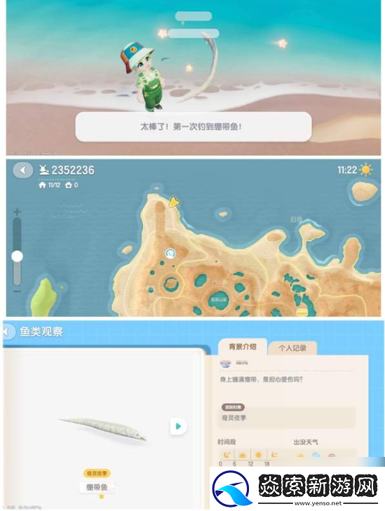 心動小鎮繃帶魚怎么釣