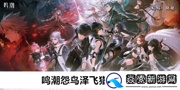 鳴潮怨鳥澤飛獵手位置