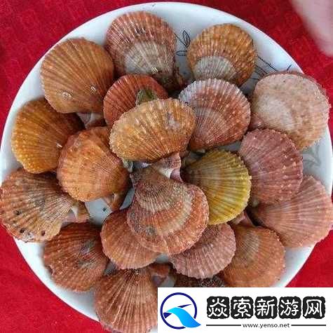 這是我的小扇貝好看嗎