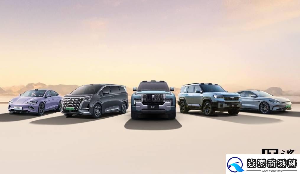 2025年1月國產車銷量**拼