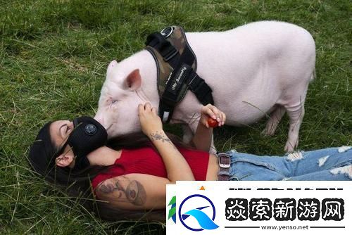 探索“人OR豬OR狗”的多重身份與社會角色