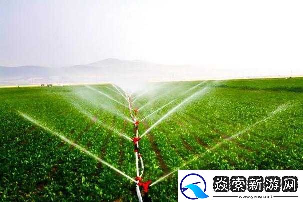 探索優質JY灌溉系統蘇軟軟的高效應用與維護技巧