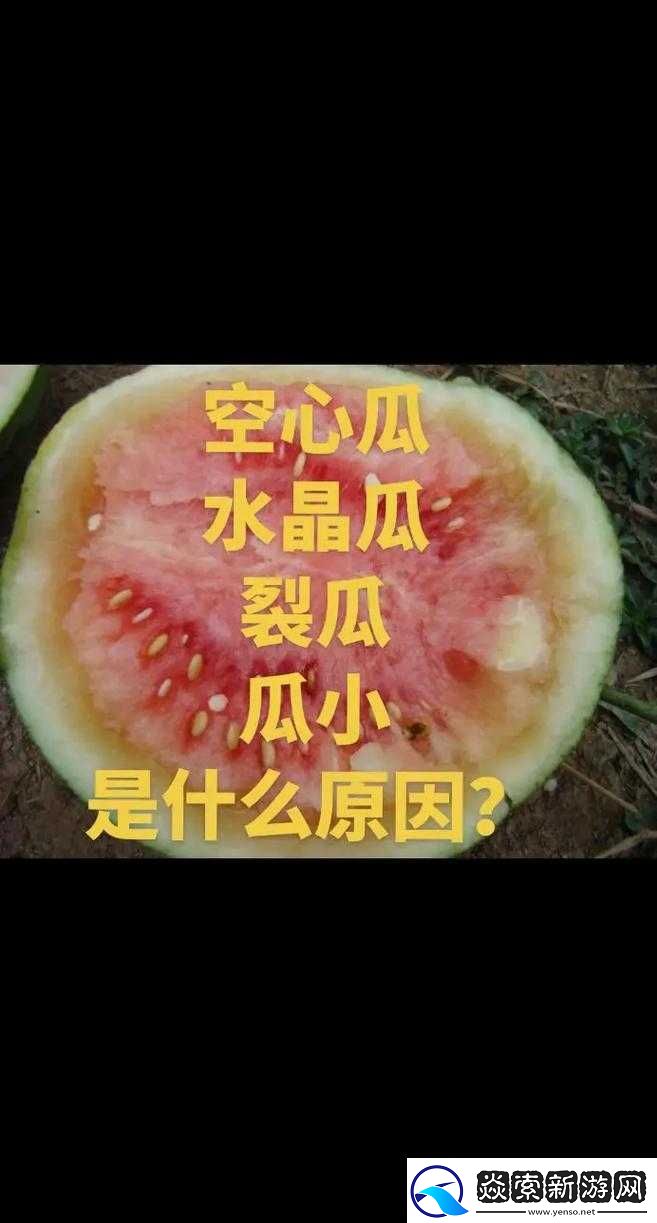 被禁止的西瓜視頻