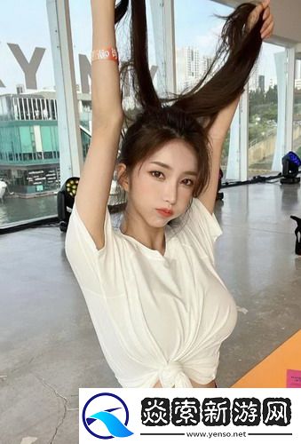 解限機(jī)畫面設(shè)置攻略詳解:提升玩家體驗,優(yōu)化游戲性能的實用指南